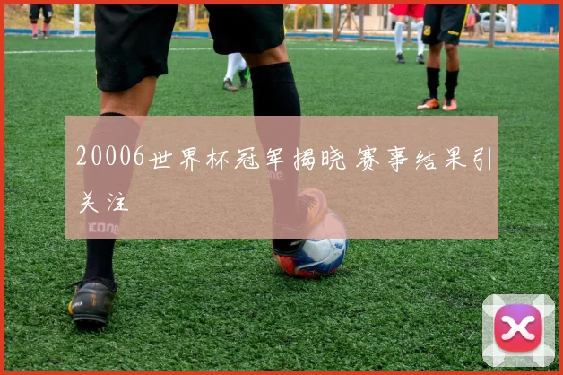 20006世界杯冠军揭晓 赛事结果引关注