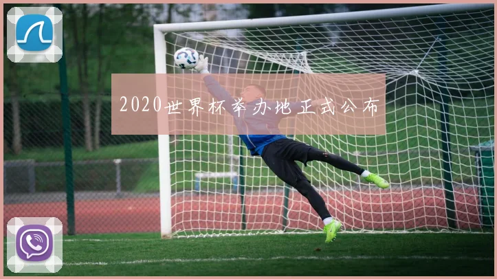 2020世界杯举办地正式公布