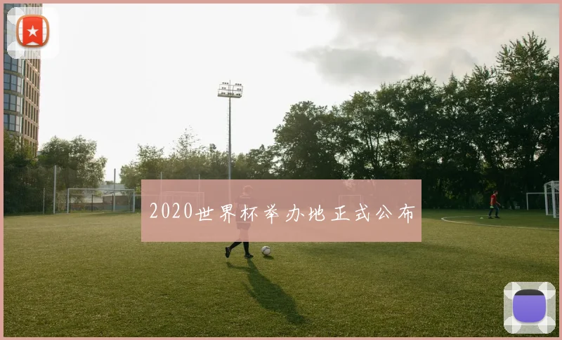 2020世界杯举办地正式公布