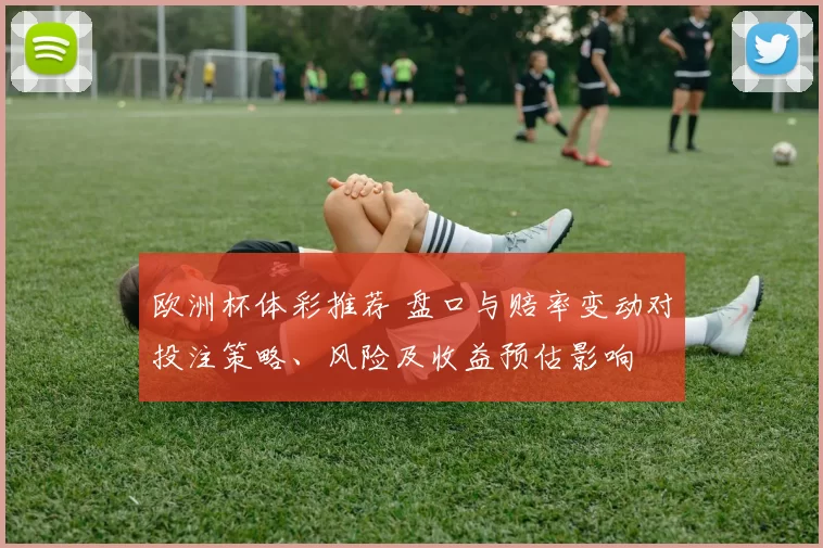欧洲杯体彩推荐 盘口与赔率变动对投注策略、风险及收益预估影响