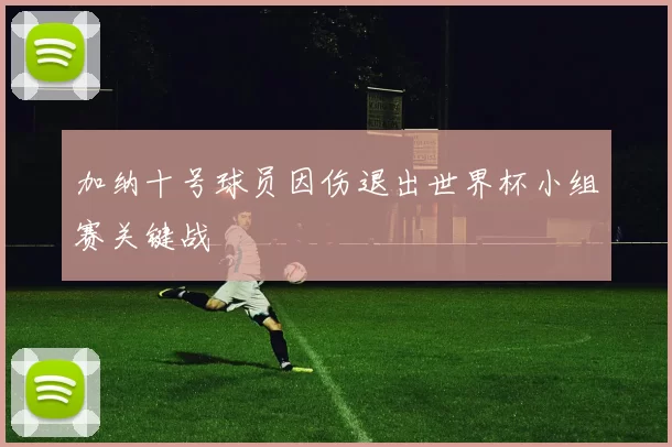 加纳十号球员因伤退出世界杯小组赛关键战