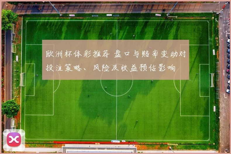 欧洲杯体彩推荐 盘口与赔率变动对投注策略、风险及收益预估影响
