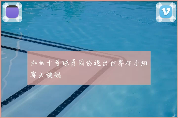 加纳十号球员因伤退出世界杯小组赛关键战